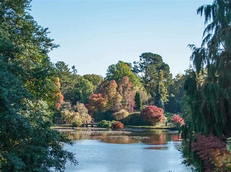 Autumn foliage at Sheffield Park Gardens