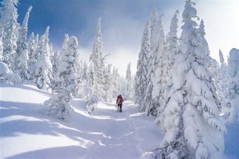 Why go to Saguenay–Lac-Saint-Jean in the Winter | My SagLac