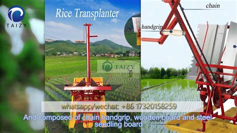 2 row Rice transplanter machine