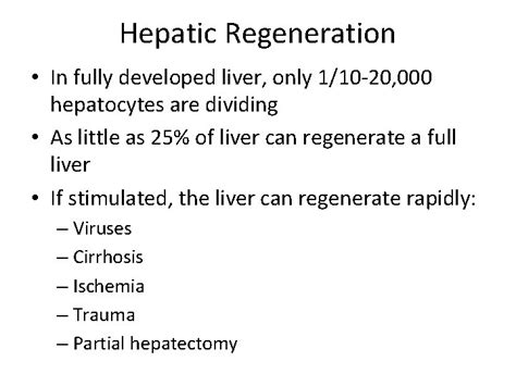 Hepatic Physiology Sabina Sabharwal MD MPH Boston Childrens