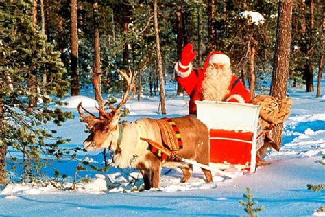 Was hat das Rentier mit Weihnachten zu tun? - Erklär's mir - Badische Zeitung