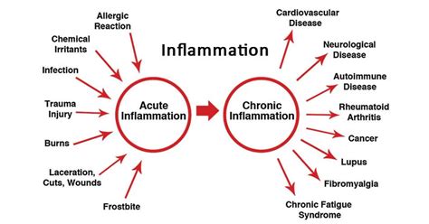 Inflammation: Friend or Foe? | We ask Dr. Soroush Ebtash! – The Wellness Place