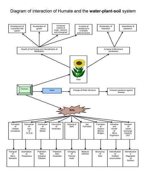 soil structure diagram - Yahoo Image Search results Alkali Metal, Black ...