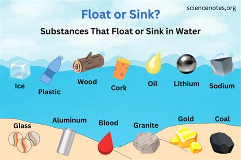 Things That Float or Sink in Water