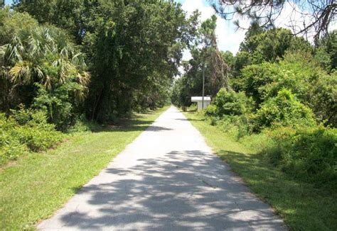 Cycling on the Van Fleet State Trail | Florida State Parks