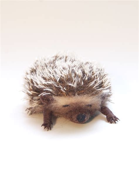 The sleeping hedgehog on Behance