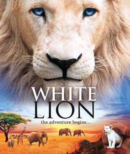 White Lion | Animal