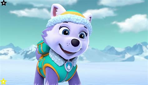 paw patrol pups save everest - monitoring.solarquest.in