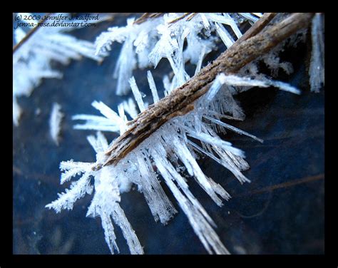 Frost Fingers by Jenna-Rose on DeviantArt