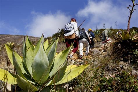 1 - Santa Ana Volcano Hiking | El Salvador Surf Company | Sunzal