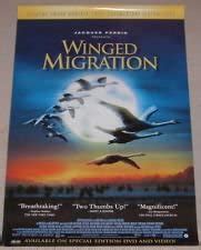 Amazon.com: Winged Migration Movie Poster : Everything Else