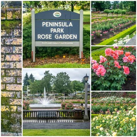 Peninsula Park Rose Garden - SkyBlue Portland