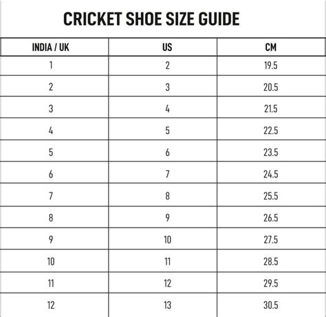 Icon All Rounder Shoes - GM Cricket