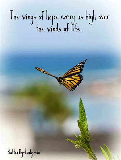 The Wings of Hope | Butterfly quotes, Butterfly inspiration, Butterfly