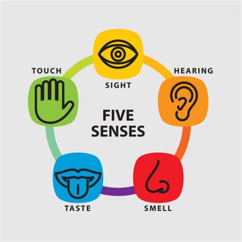 Using All Five Senses Along With POV - Terry Odell