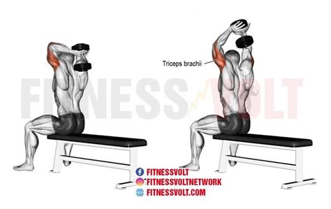 Tricep workout for all three heads - Beauty Clog