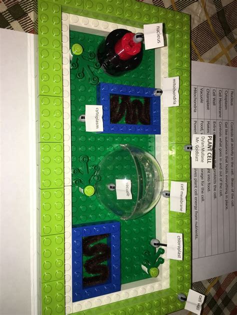 3D Plant Cell made out of legos | Plant cell model, Plant cell, Cell model