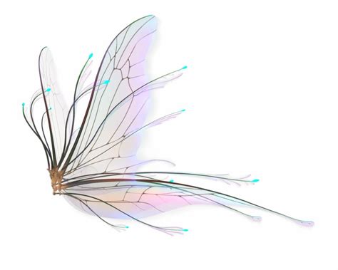 Fairy Wings Png Hd - Transparent Fairy Wings Png is a free transparent png image. Search and ...