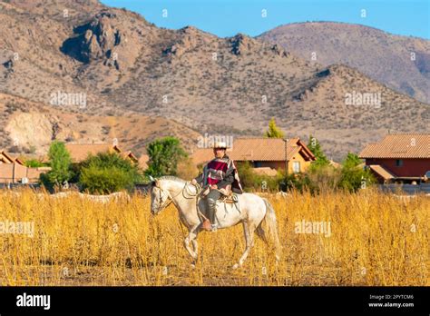 Huaso riding horse with mountains in background, Colina, Chile Stock Photo - Alamy