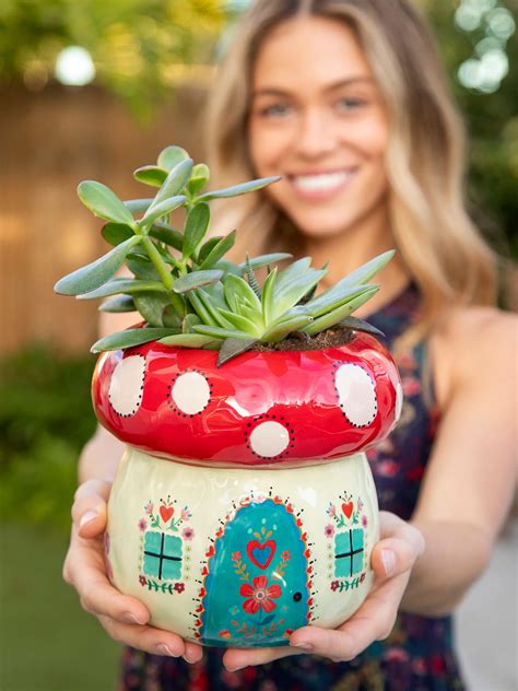 So Cute Ceramic Planter - Daisy The Van – Natural Life
