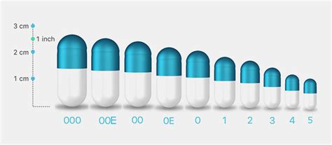 Capsule Size Guide Interactive Specification Chart, 56% OFF