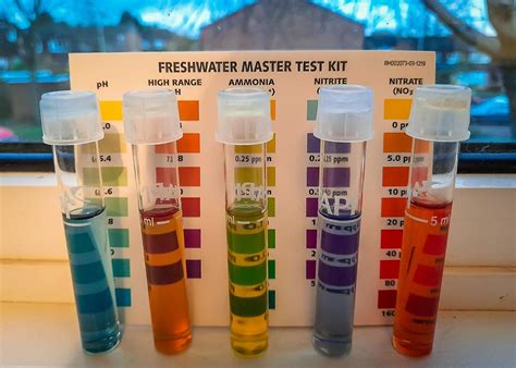 How to Test Water Quality at Home: Your Complete Guide – World Water Reserve