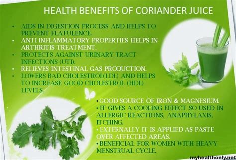 Coriander Benefits