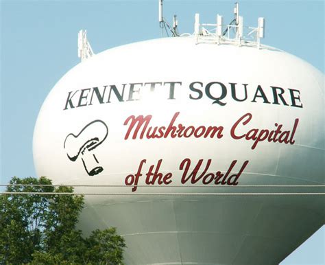 How is Kennett Square the Mushroom Capital of the World? – Kennett ...