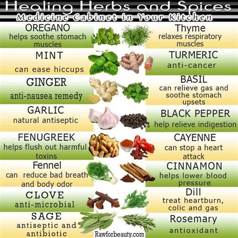 Complete Hair Care: Herbs and Foods for Natural Hair Care