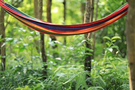 Are ENO Hammocks Worth It? (Explained) - UpHomely