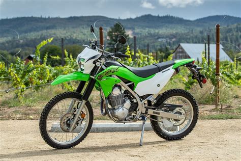 2020 Kawasaki KLX230 first ride review - RevZilla