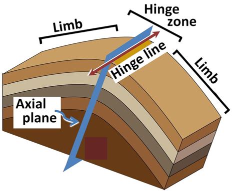 Fold Diagram | Fold geology, Geology, Geophysics