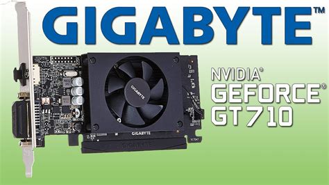 Tarjeta Gráfica BARATA - Gigabyte GeForce GT 710 2GB GDDR5 - YouTube