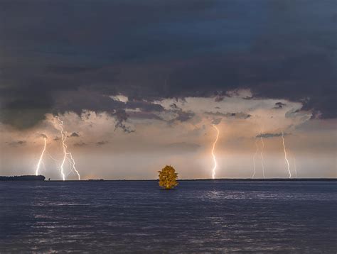 Lightning Tree Photograph by Ryan Kasyan - Fine Art America