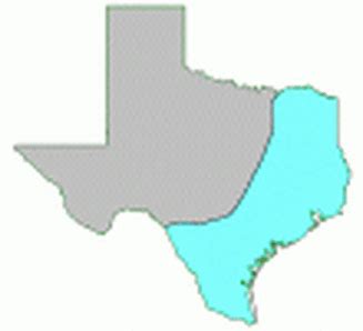 Gulf Coastal Plains - Regions Of Texas