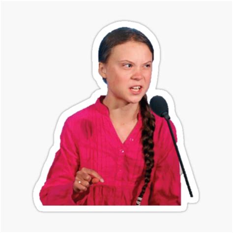 "Greta Thunberg UN Speech" Sticker for Sale by happycamper19 | Redbubble