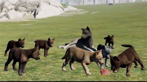 Raising 7 Pups on Challenging mode in WolfQuest Anniversary Edition ...