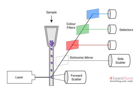 Flow Cytometers - LearnHaem | Haematology Made Simple