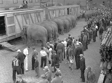 A History of the Ringling Circus Train | Sarasota Magazine