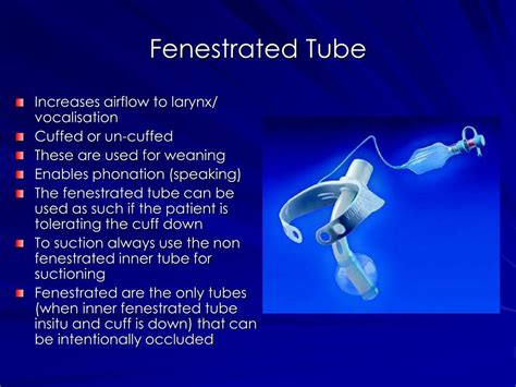 PPT - Tracheostomy Care PowerPoint Presentation - ID:262076