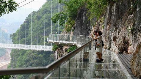 Giant jungle bridge made of glass | KidsNews