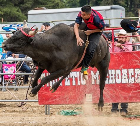 Mexican Rodeo 2018 | North Coast Journal