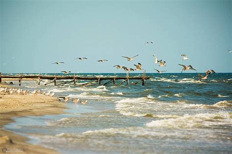 Plaja Corbu, Constanta, Romania | Beaches in the world, Most beautiful beaches, Beautiful beaches