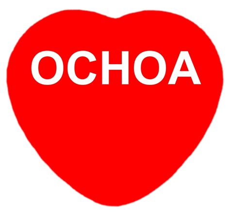 I Love Ochoa Magnet. Fun Heart Shaped Magnet for Ochoa Family Members – Brian Bula!