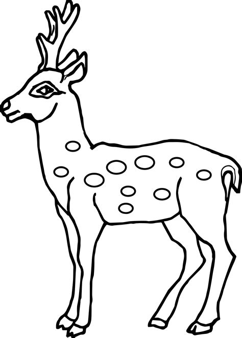 Deer Drawing Outline at GetDrawings | Free download