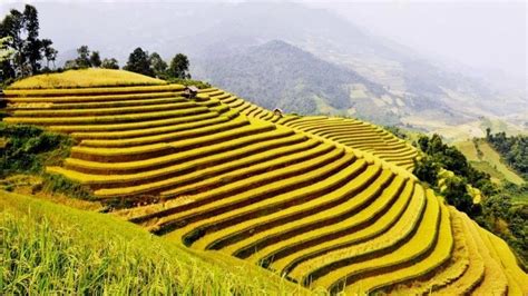 Du lịch Hoàng Su Phì (Hà Giang): 5 địa điểm du lịch hấp dẫn nhất