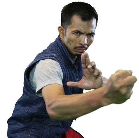 Cecep Arif Rahman - Pencak Silat | Martial arts actor, Martial arts, Martial artist