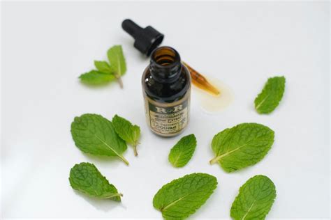 How to Use Peppermint Oil to Repel Mice From Your Garden