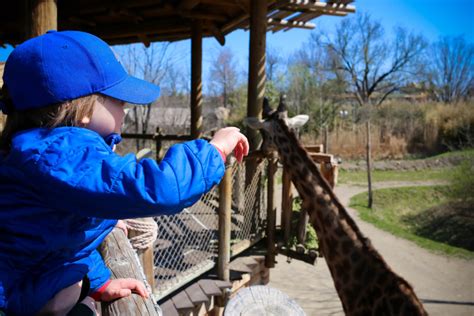 What's new at the Cincinnati Zoo - Southwest Ohio Parent Magazine