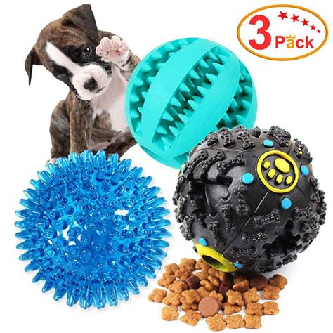 3 Best Toys for Blind Dogs - Outdoor Dog World